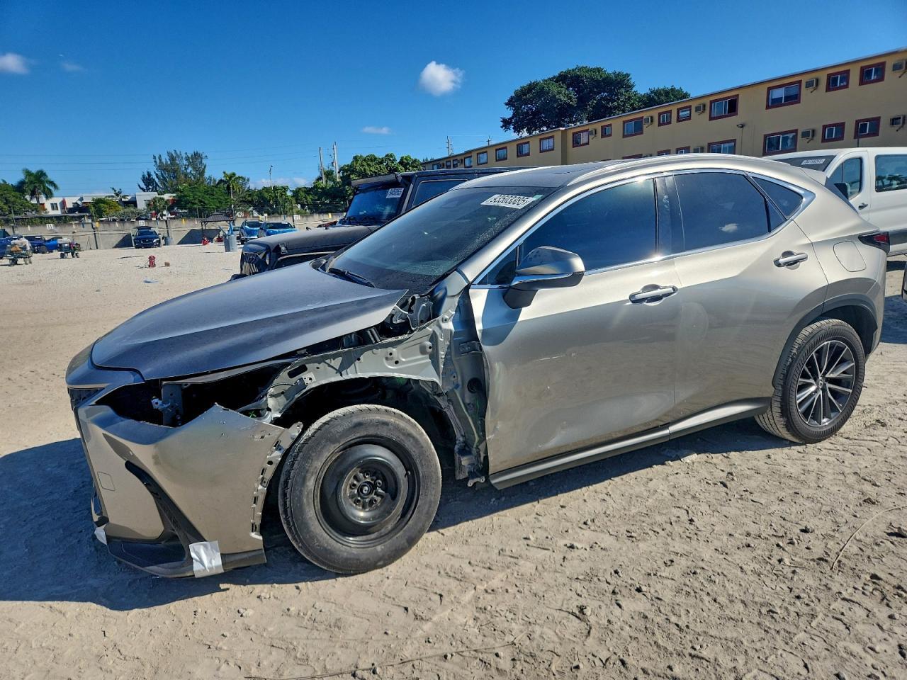 2025 LEXUS NX 250