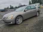 2004 NISSAN Maxima