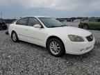 2005 NISSAN ALTIMA