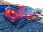 2024 KIA Niro