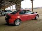 2005 DODGE Neon