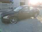 2010 NISSAN Maxima