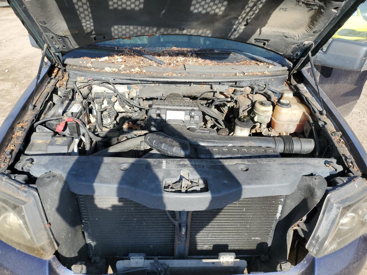 2006 FORD F-150