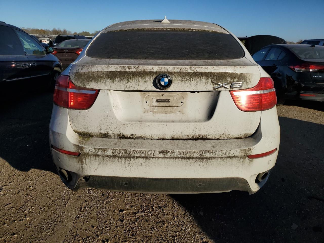2010 BMW X6