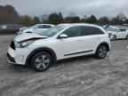 2019 KIA Niro