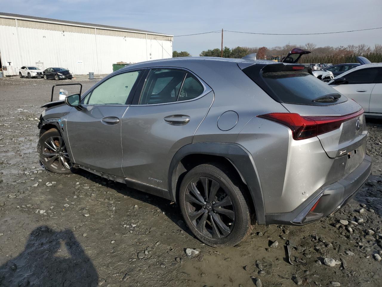 2019 LEXUS UX 250H