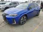 2025 LEXUS UX 300H