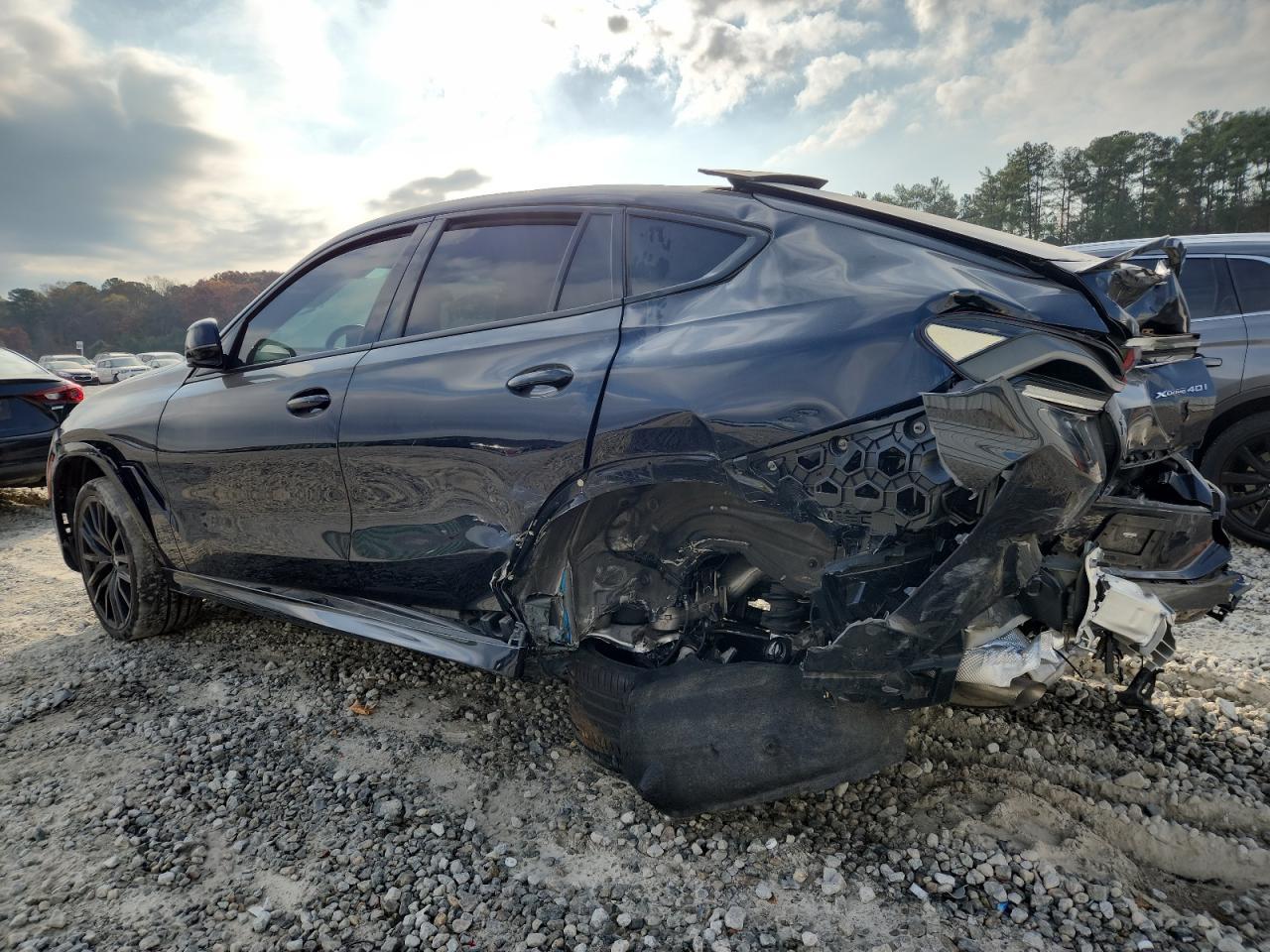 2024 BMW X6
