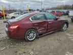 2010 NISSAN Maxima
