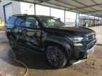 2025 TOYOTA 4Runner