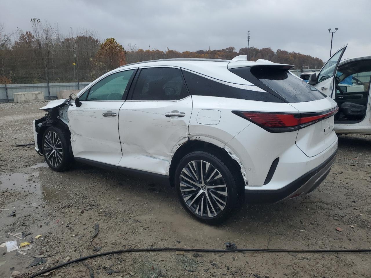 2024 LEXUS RX 350