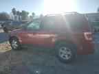 2009 FORD ESCAPE