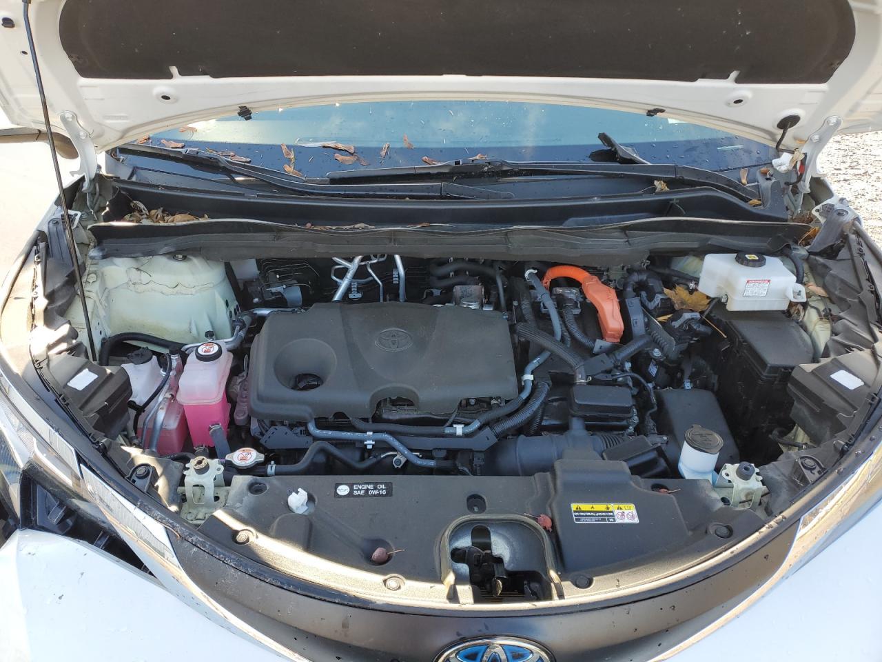 2021 TOYOTA SIENNA