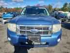 2009 FORD ESCAPE