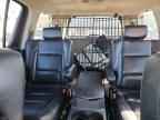 2005 INFINITI QX56