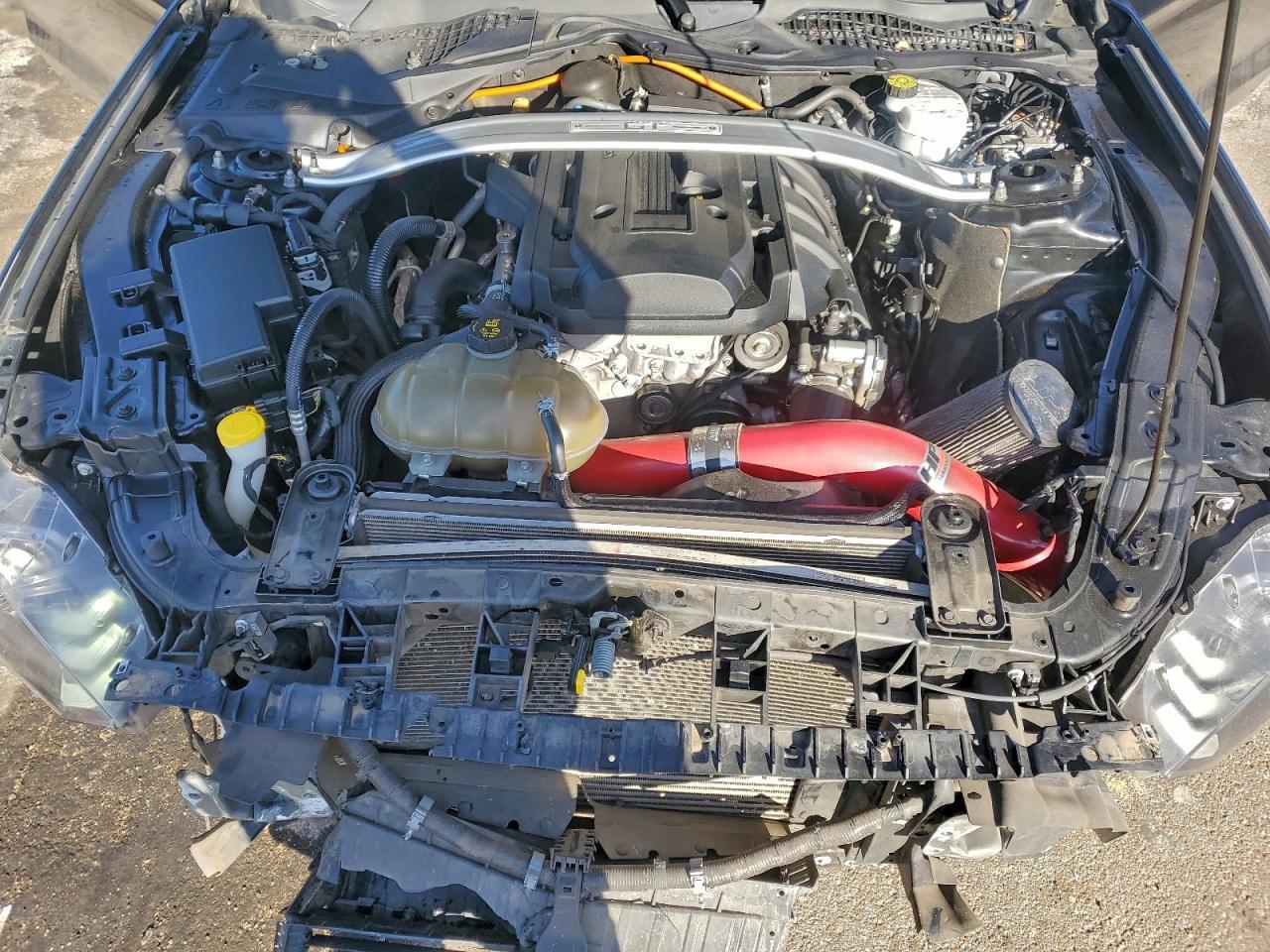 2019 FORD MUSTANG