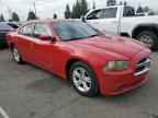 2013 DODGE CHARGER