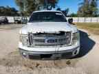 2013 FORD F-150 Lightning