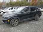 2024 KIA SELTOS