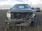 2009 FORD F-150