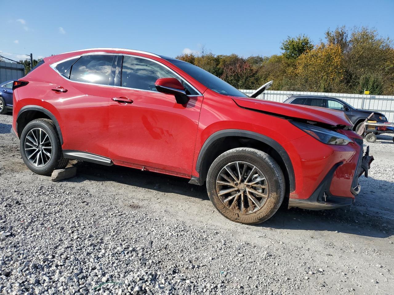 2024 LEXUS NX 350