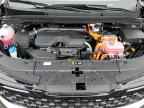 2025 KIA Carnival