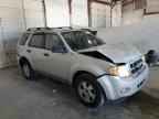 2009 FORD ESCAPE