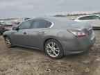 2014 NISSAN Maxima