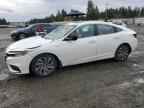 2019 HONDA Insight