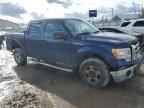2009 FORD F-150