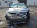 2010 TOYOTA VENZA