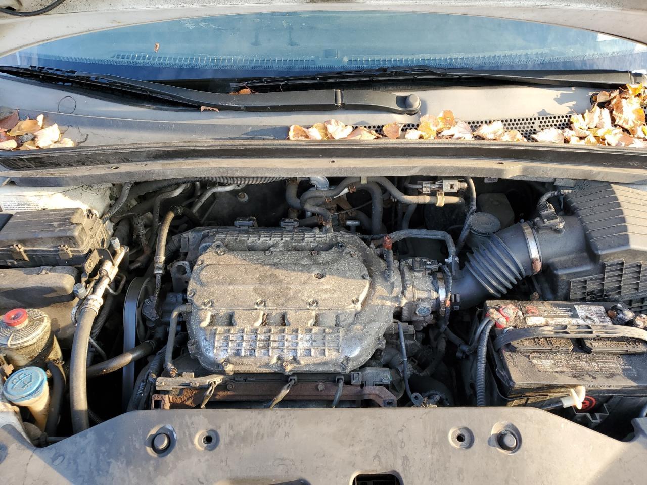 2010 HONDA ODYSSEY