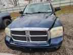 2006 DODGE Dakota