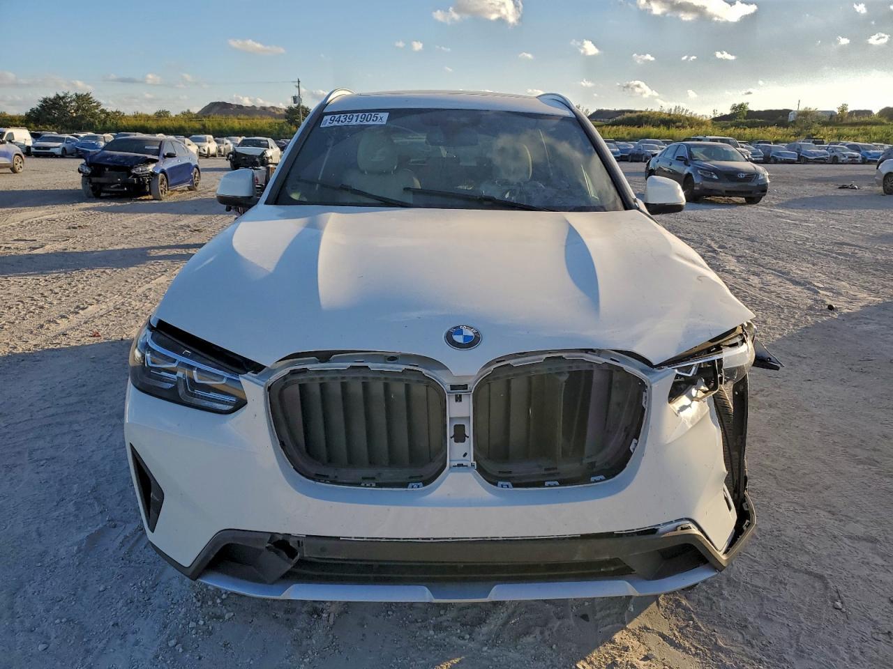 2024 BMW X3