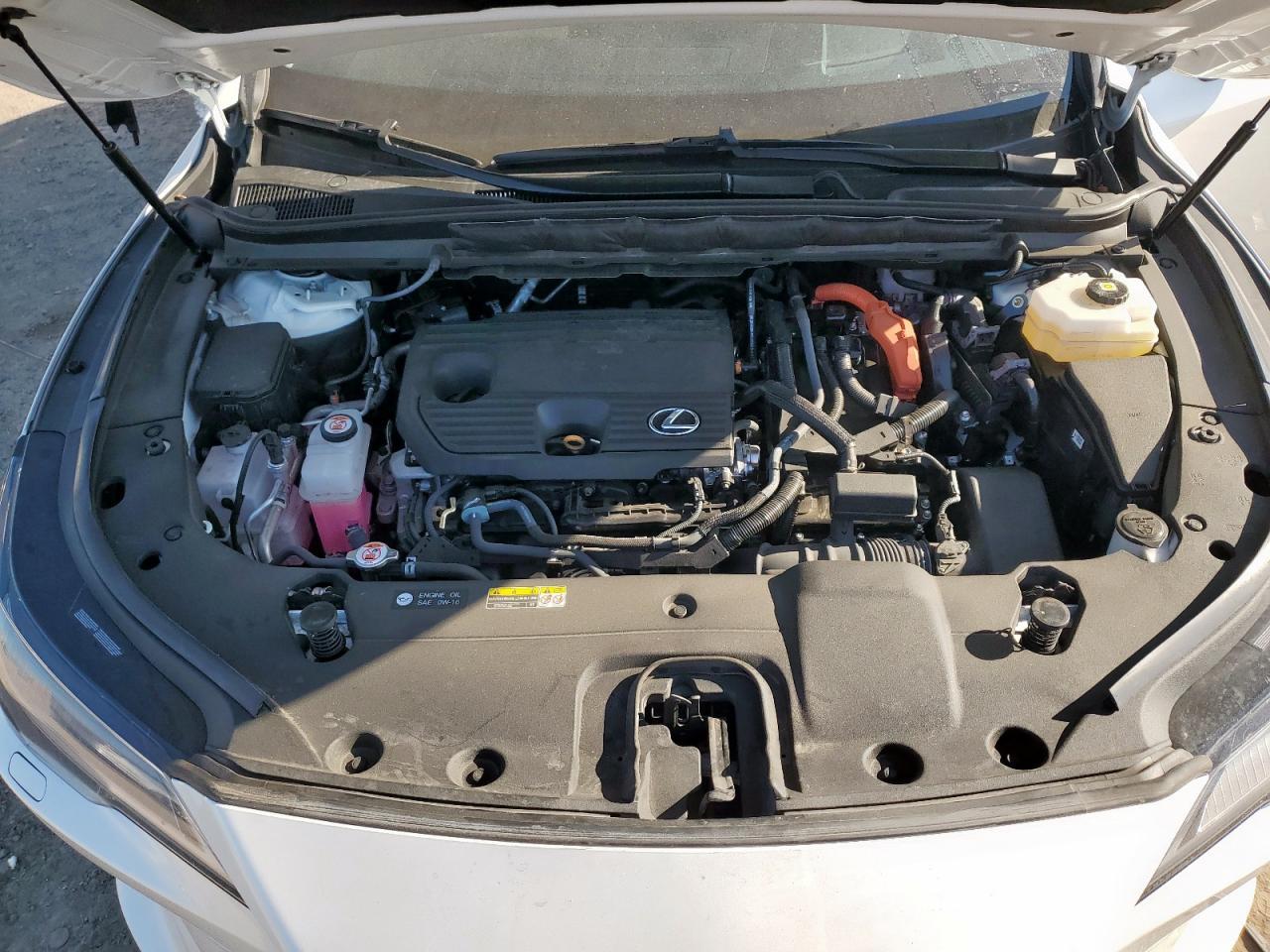 2024 LEXUS RX 350H