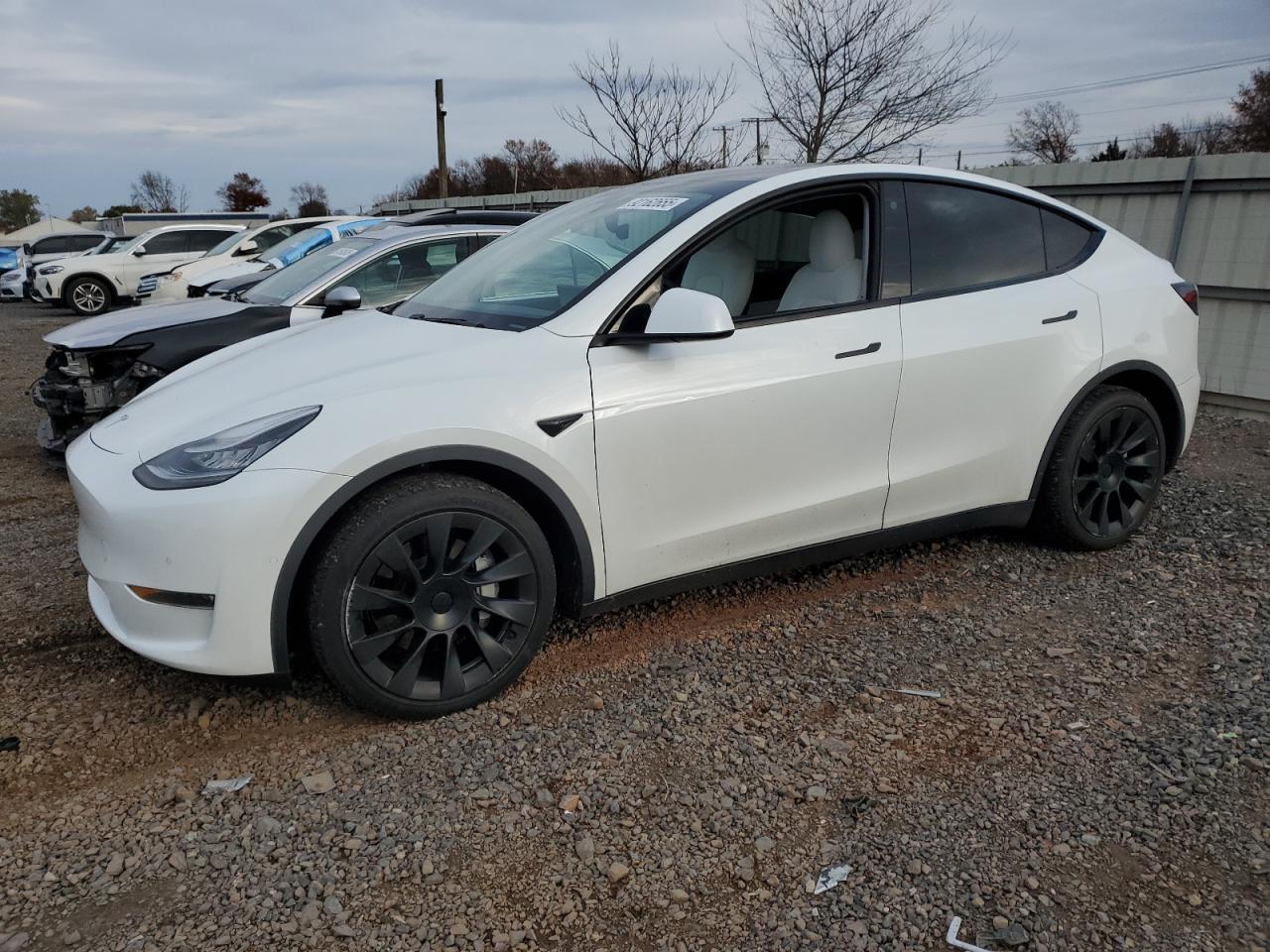 2021 TESLA MODEL Y