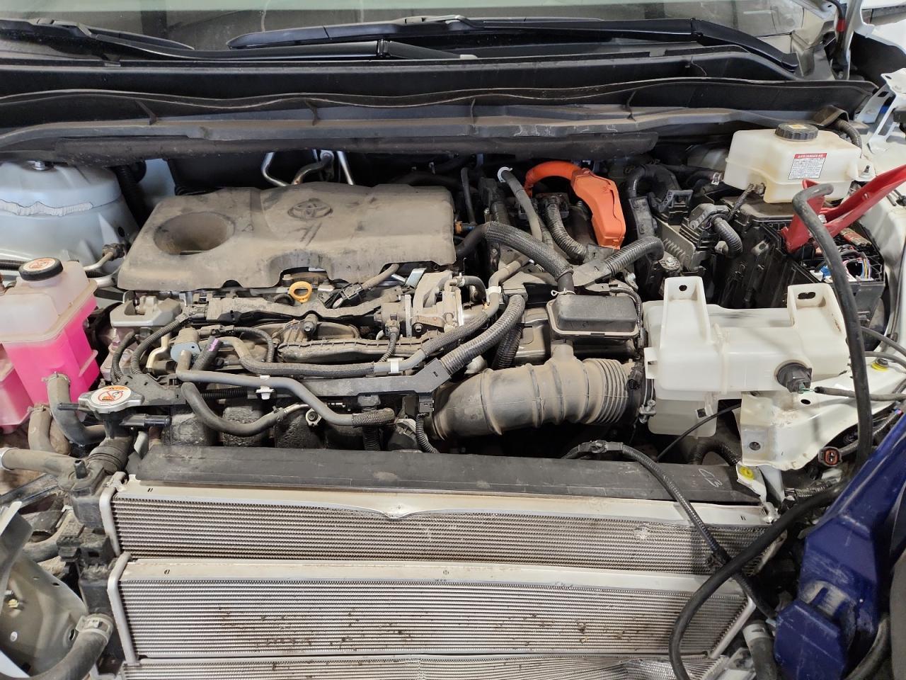 2021 TOYOTA SIENNA