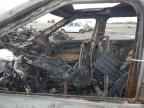 2024 KIA Carnival