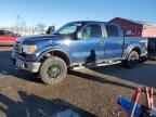 2009 FORD F-150