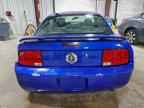 2005 FORD MUSTANG