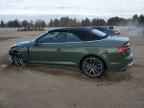 2024 AUDI A5