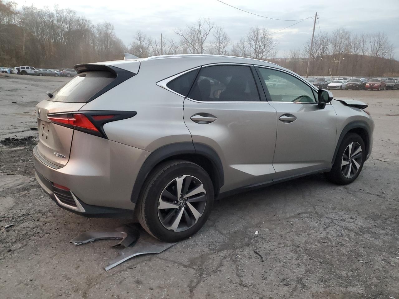 2018 LEXUS NX 300H
