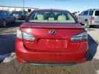 2010 LEXUS HS 250h