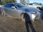 2020 LEXUS IS 350