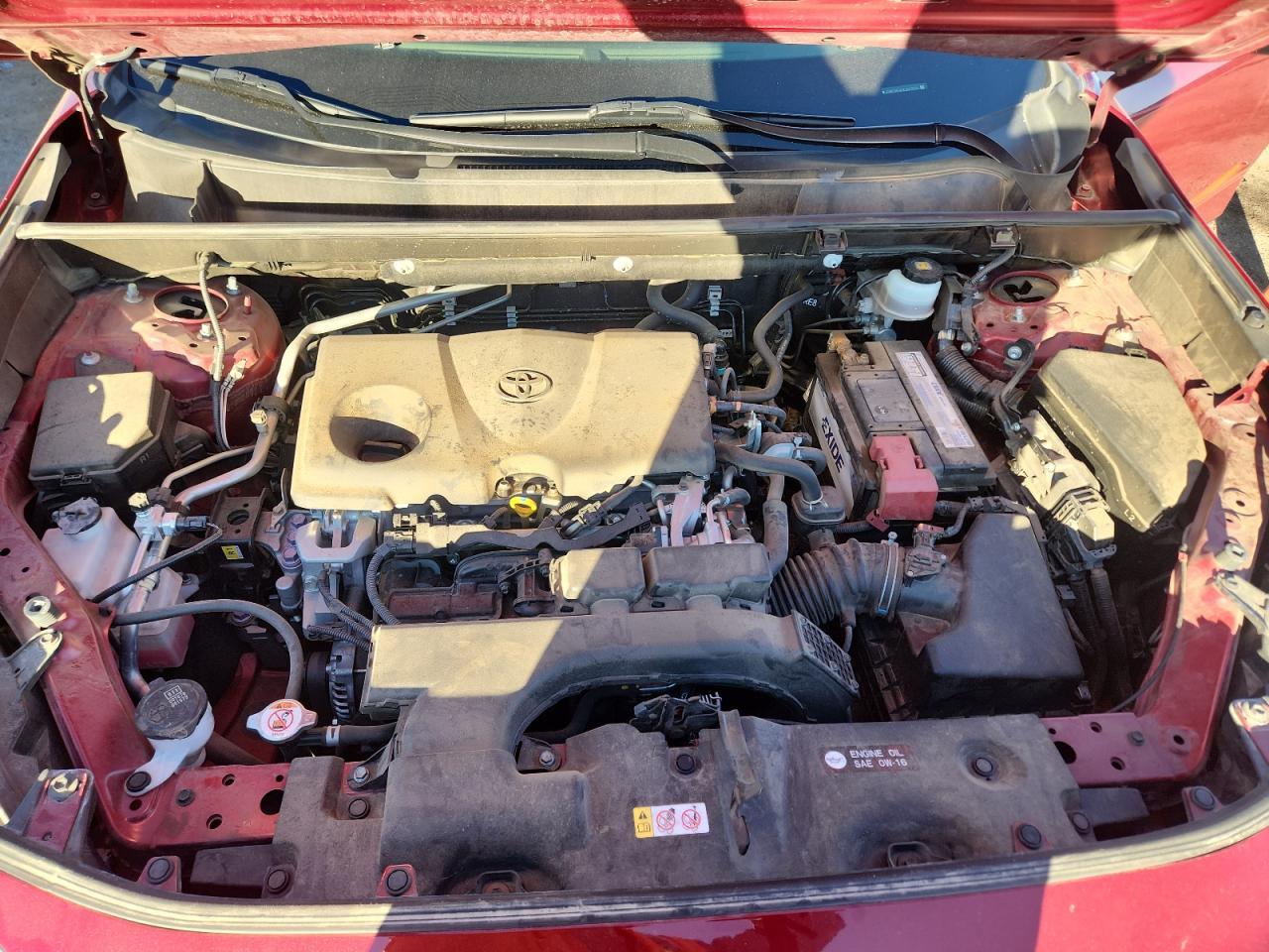 2019 TOYOTA RAV4