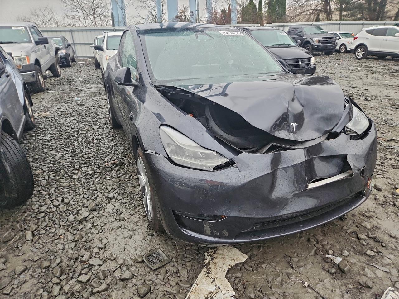 2024 TESLA MODEL Y