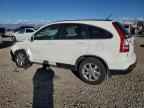 2007 HONDA CR-V