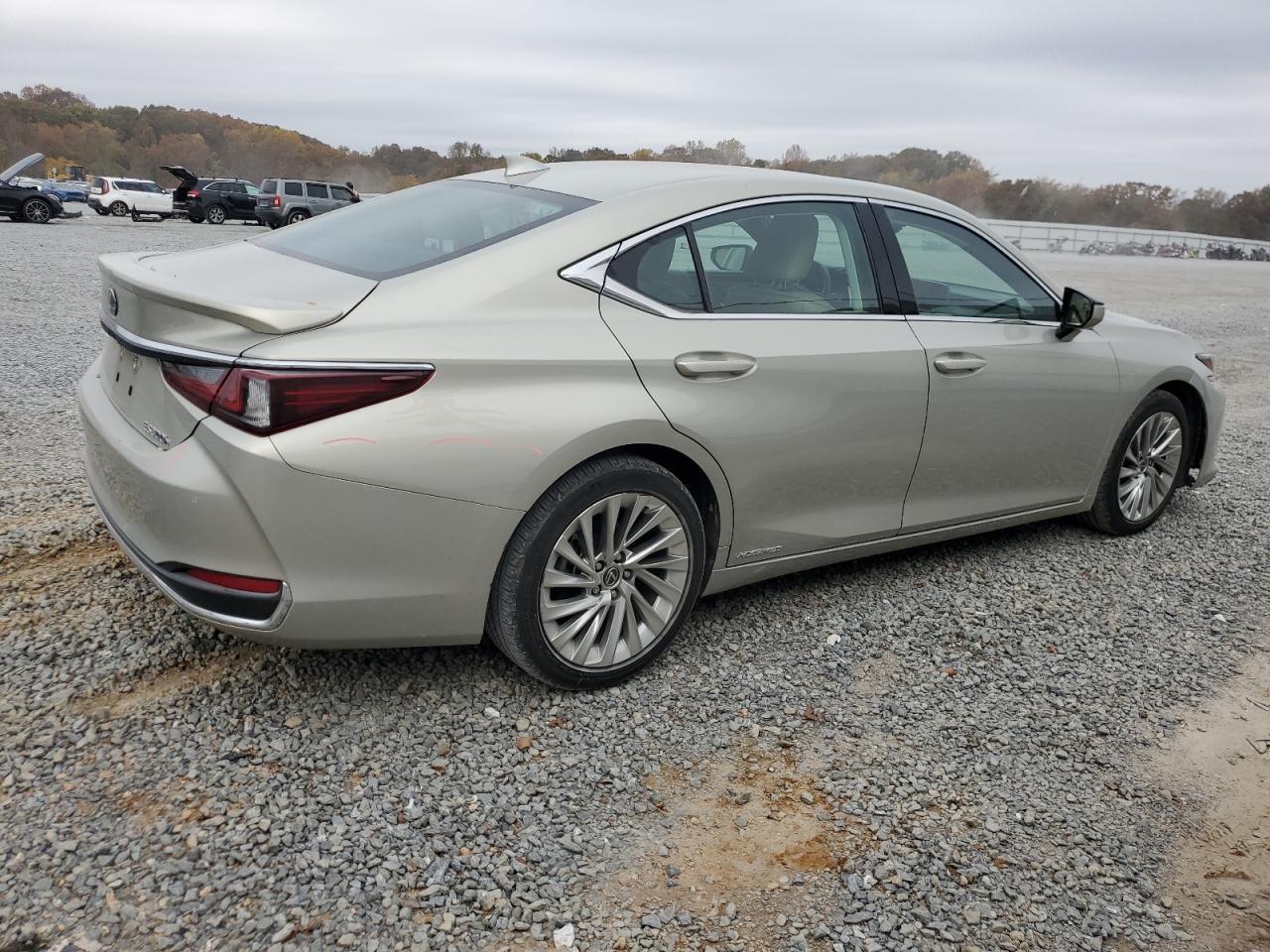 2019 LEXUS ES 300H
