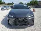 2024 LEXUS NX 250