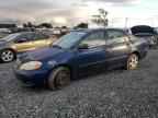 2006 TOYOTA COROLLA